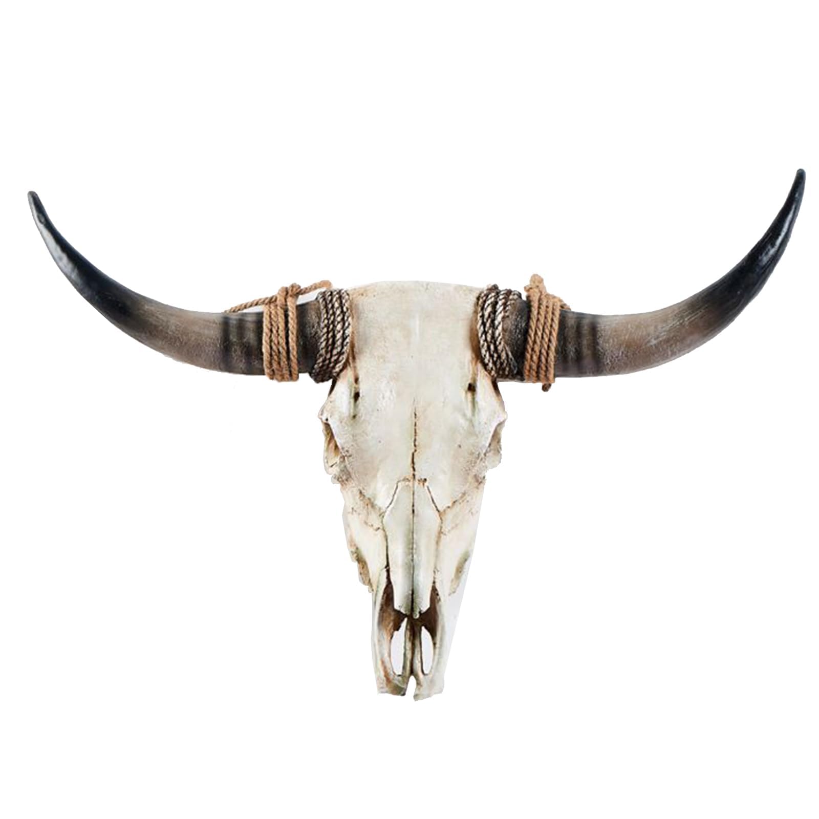 Longhorn Cow Skull Wall Sculpture in Handmade Resin