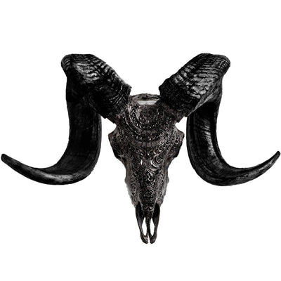 Carved Ram Skull Sculpture with Unique Horns