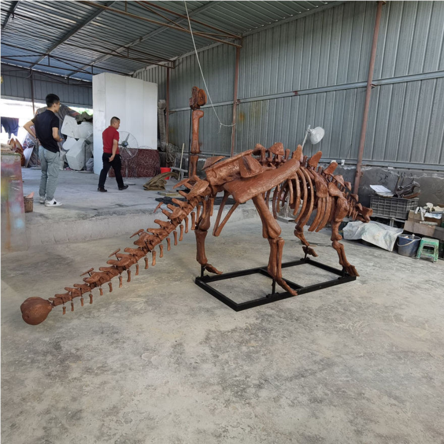 Fiberglass Dinosaur Simulation Ankylosaurus Skeleton