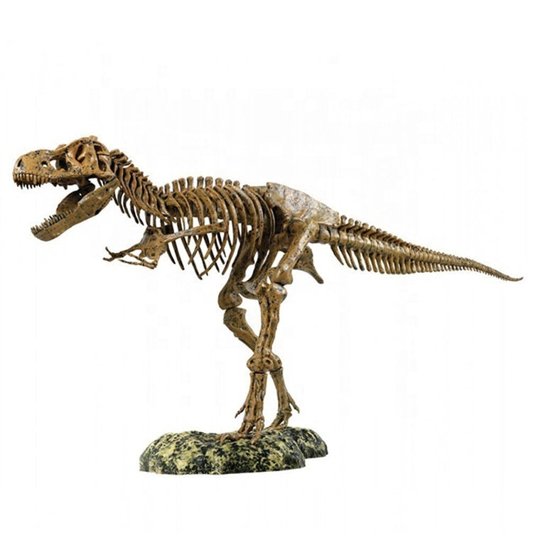 Fiberglass Sculpture Dinosaur Fossil Skeleton T Rex Skull