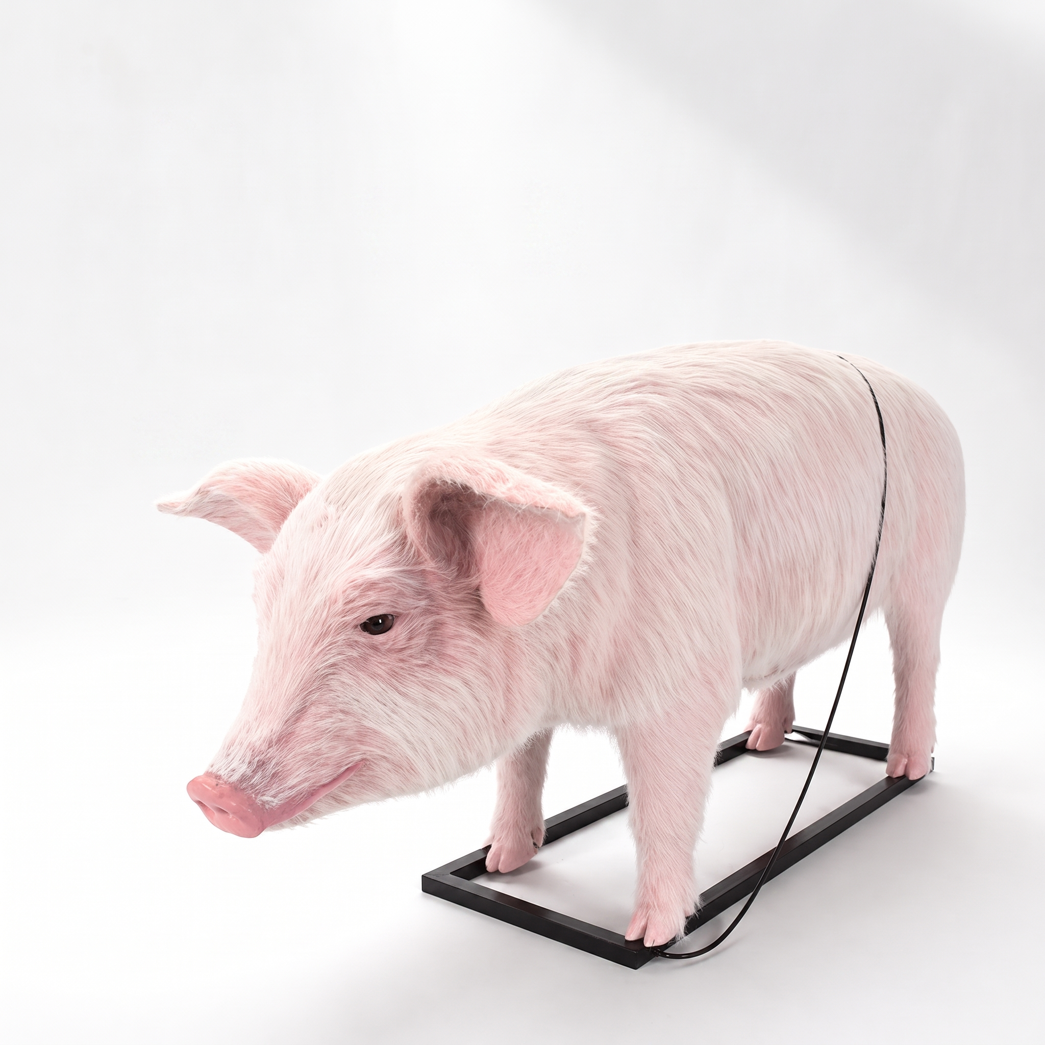 Large Simulated Pig Sculpture for Garden and Display