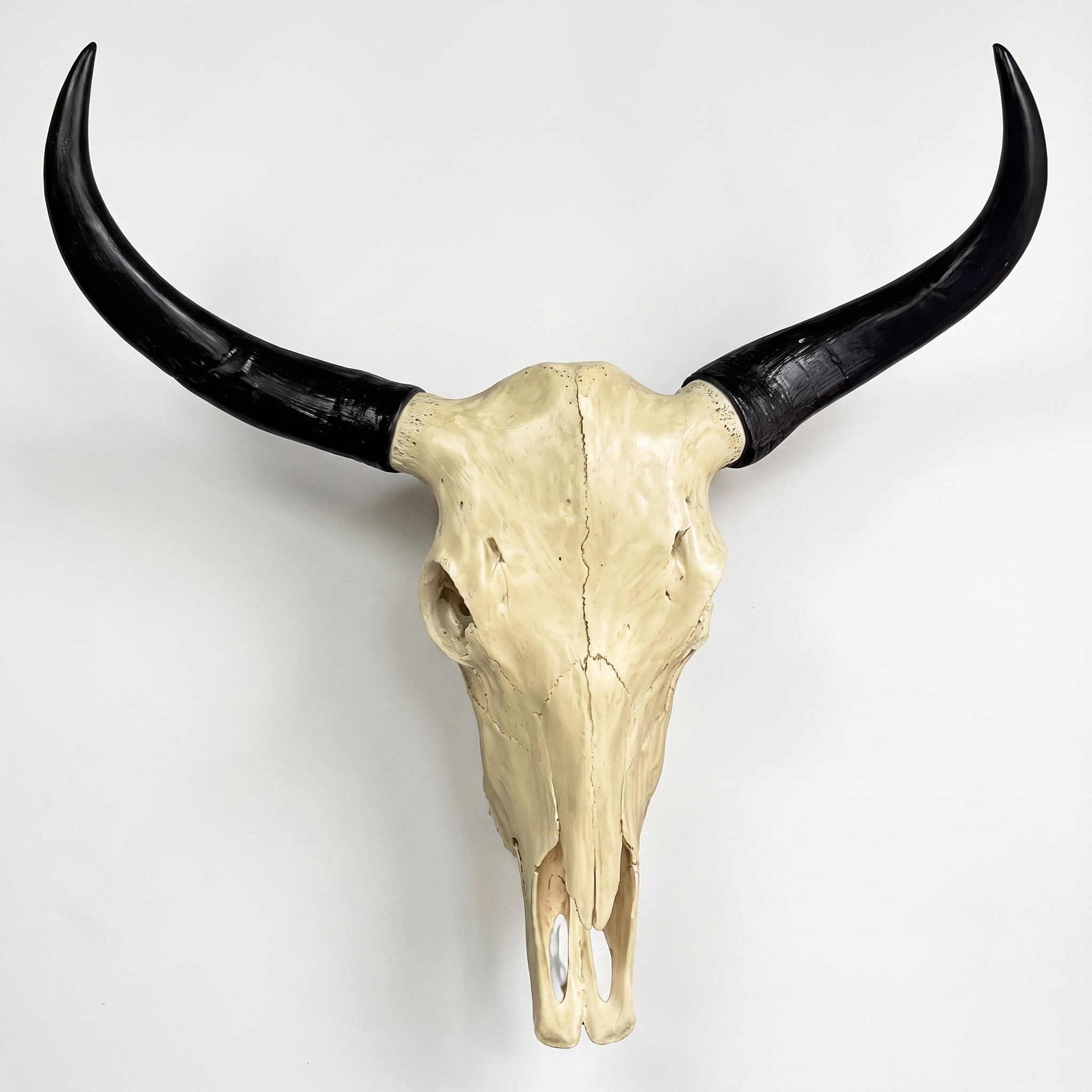 Long Horn Cow Skull Wall Sculpture Faux Bull Horns