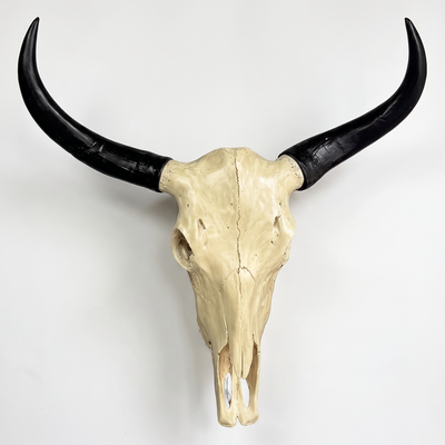 Long Horn Cow Skull Wall Sculpture Faux Bull Horns