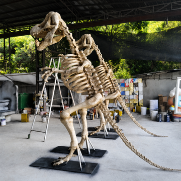 Giant Fiberglass Dino Fossil Skeleton Outdoor Halloween Decor